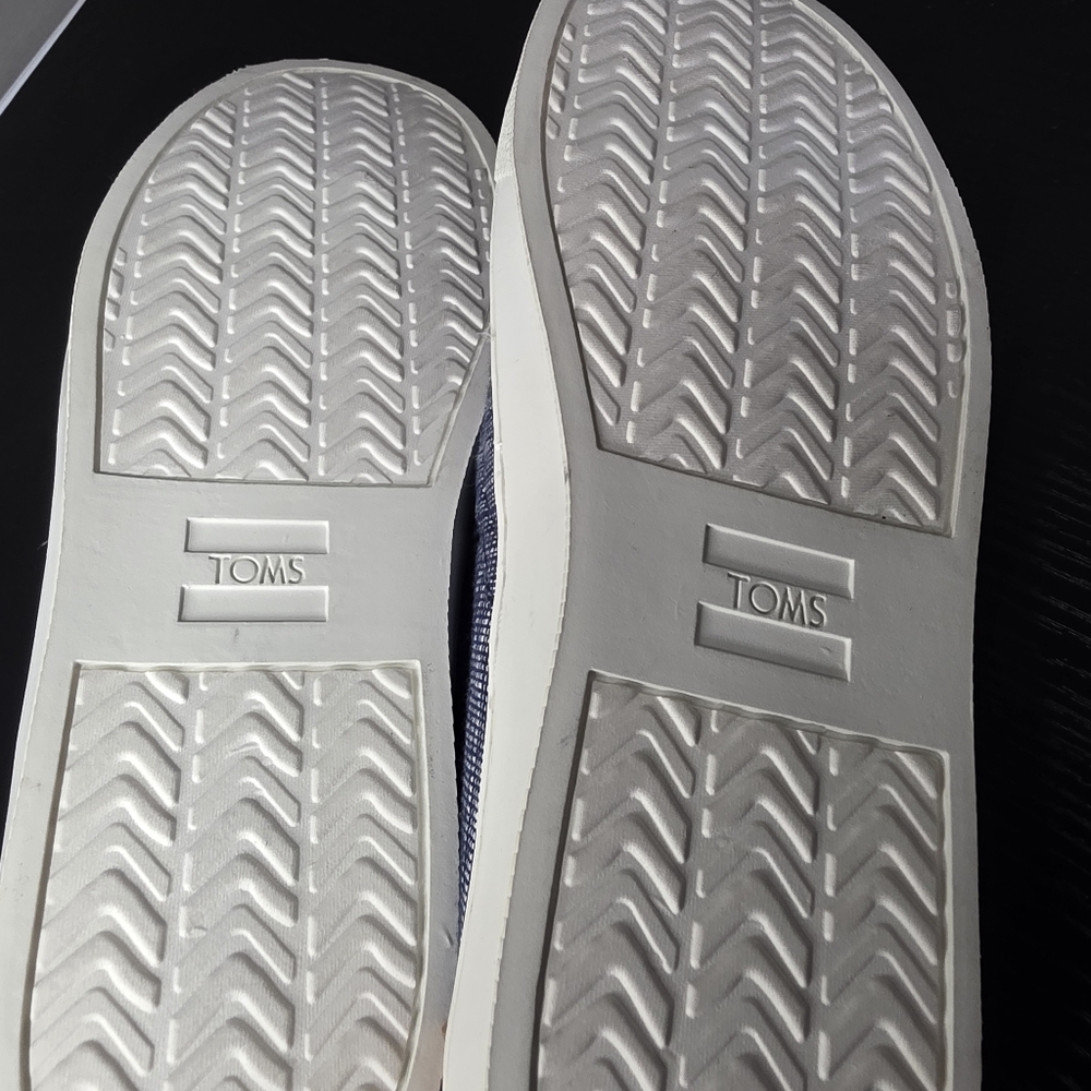 TOMS White and Blue Sneakers